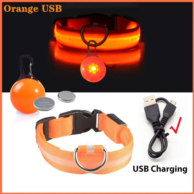Glowing Dog Collar: USB Luxury Pendant for Pet Safety