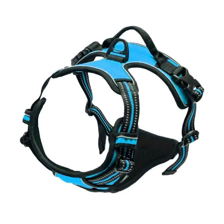Dog Harness: Padded for Comfort with Adjustable Straps