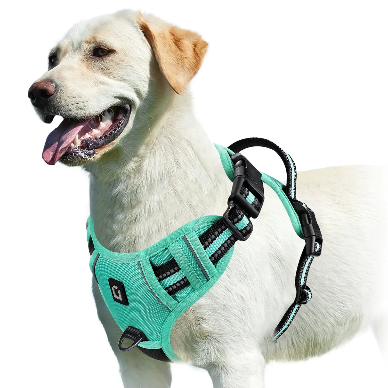 No Pull Dog Harness: Padded Vest with Easy Control Handle