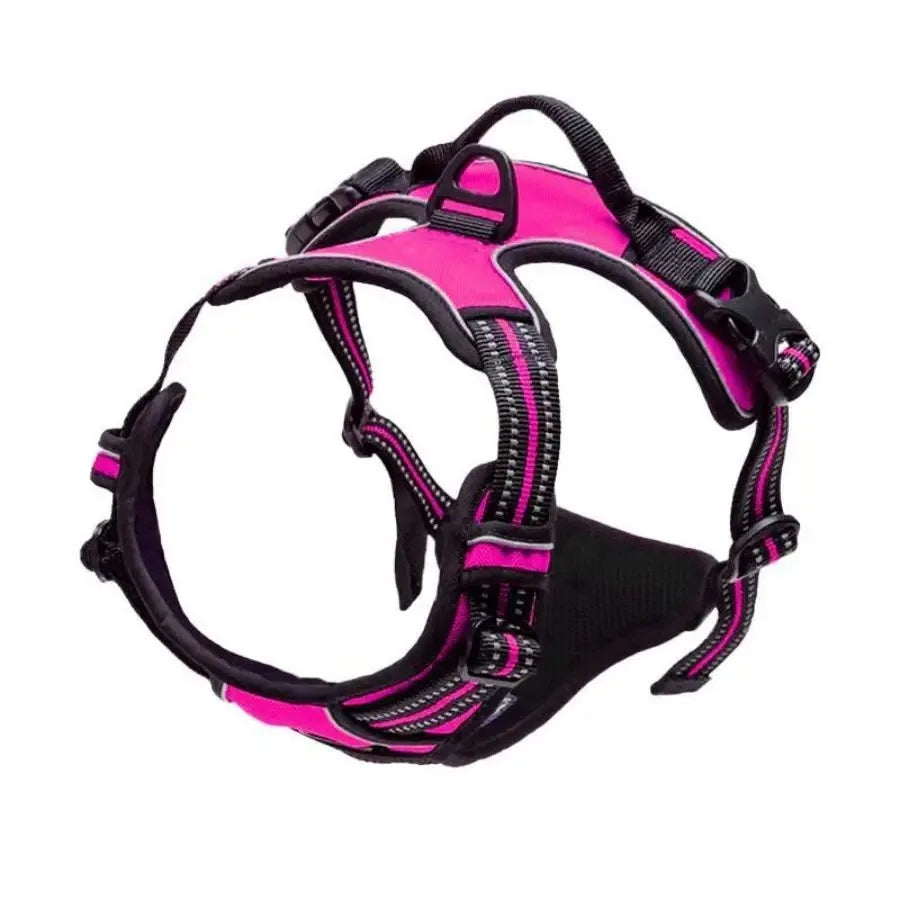 Dog Harness: Padded for Comfort with Adjustable Straps