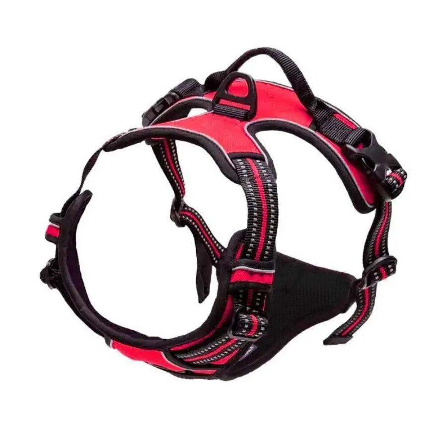 Dog Harness: Padded for Comfort with Adjustable Straps