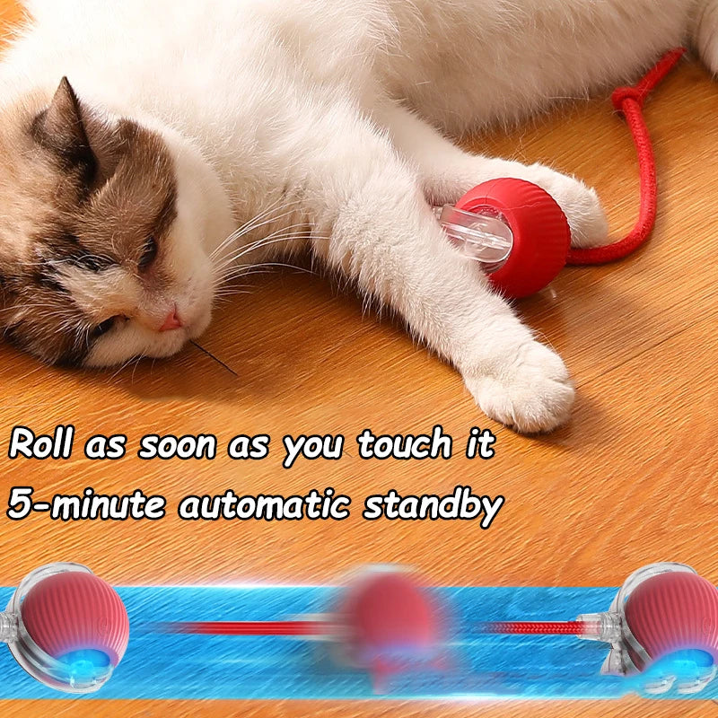 Smart Cat Toy Ball: 2pk Rechargeable Self-Moving Prey