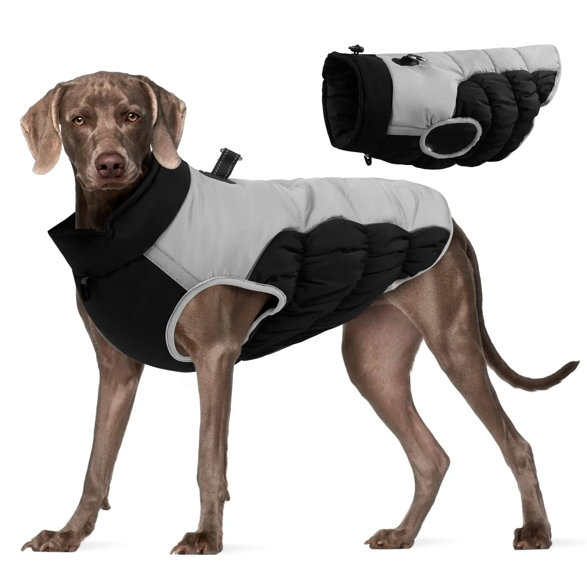 Dog Winter Jacket: Wind-Resistant Outer Shell for Big Dogs