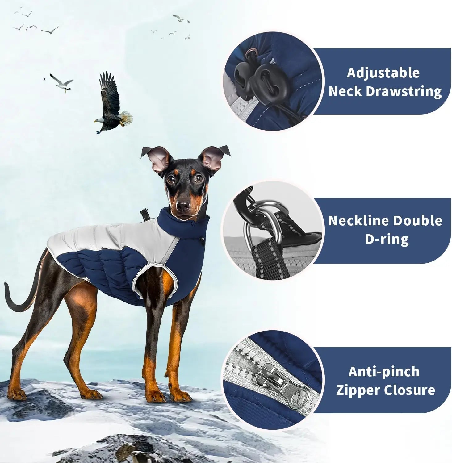 Dog Winter Jacket: Wind-Resistant Outer Shell for Big Dogs