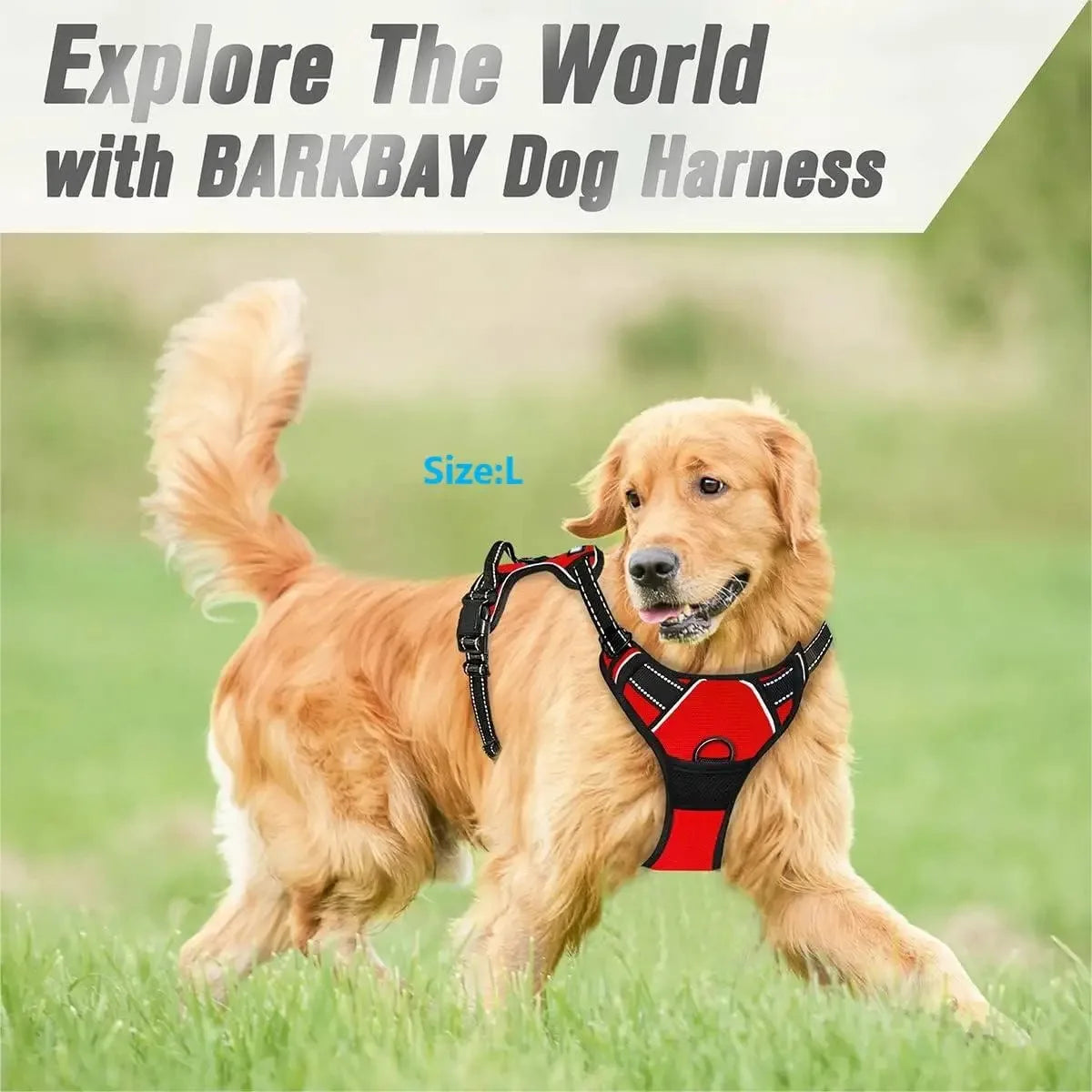 Dog Harness: Padded for Comfort with Adjustable Straps