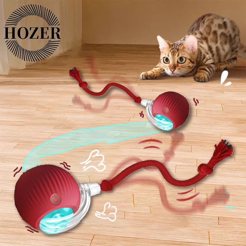 Smart Cat Toy Ball: 2pk Rechargeable Self-Moving Prey
