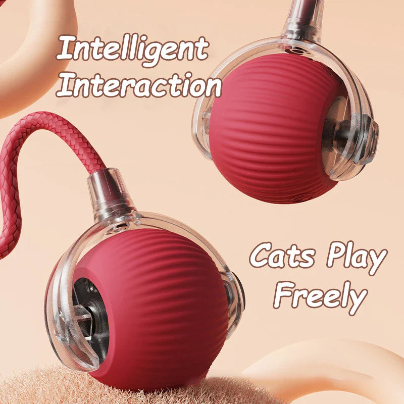 Smart Cat Toy Ball: 2pk Rechargeable Self-Moving Prey