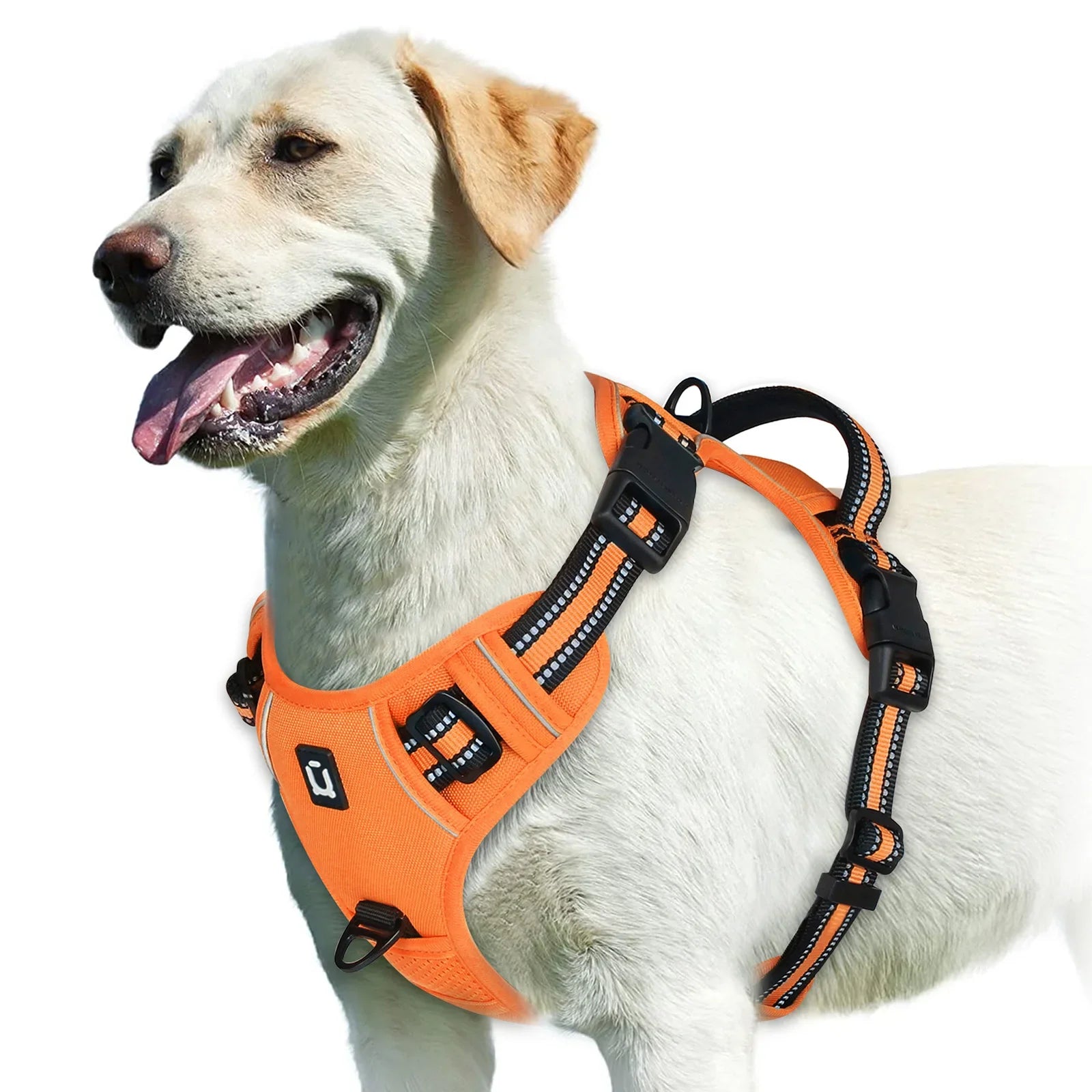 No Pull Dog Harness: Padded Vest with Easy Control Handle