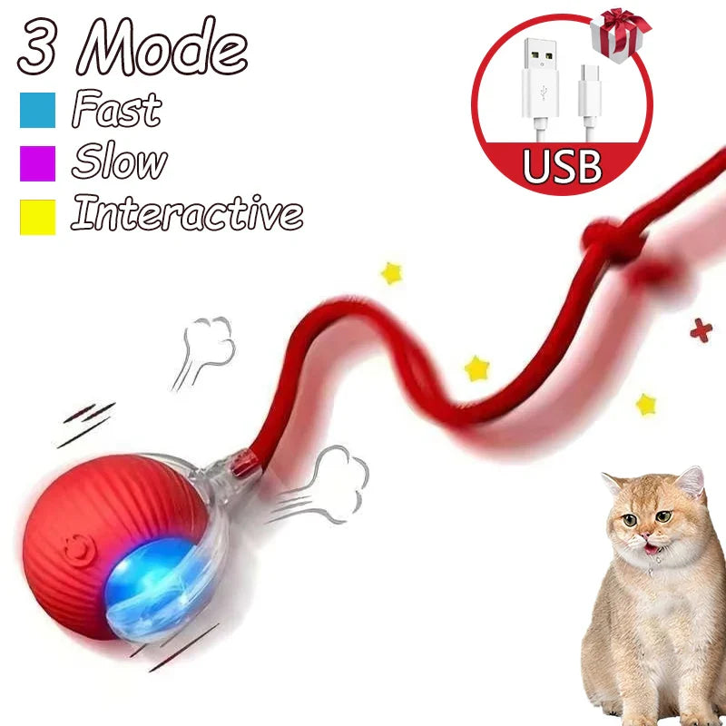 Smart Cat Toy Ball: 2pk Rechargeable Self-Moving Prey