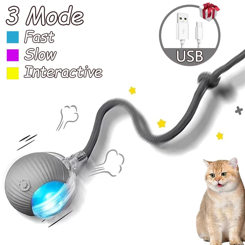 Smart Cat Toy Ball: 2pk Rechargeable Self-Moving Prey