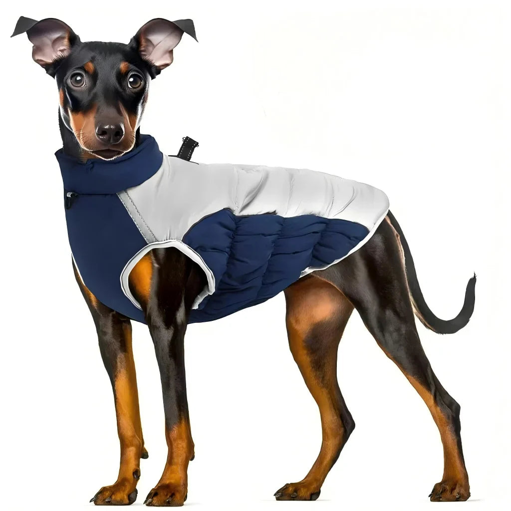 Dog Winter Jacket: Wind-Resistant Outer Shell for Big Dogs