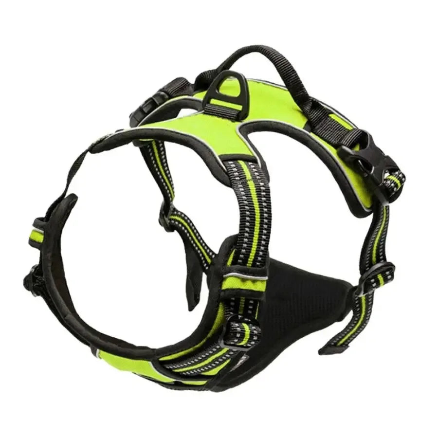 Dog Harness: Padded for Comfort with Adjustable Straps