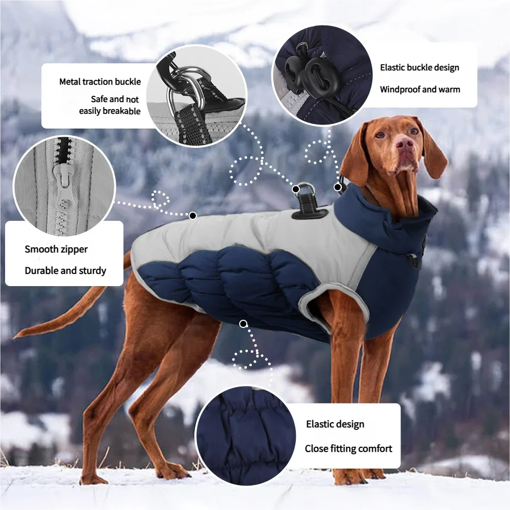 Dog Winter Jacket: Wind-Resistant Outer Shell for Big Dogs