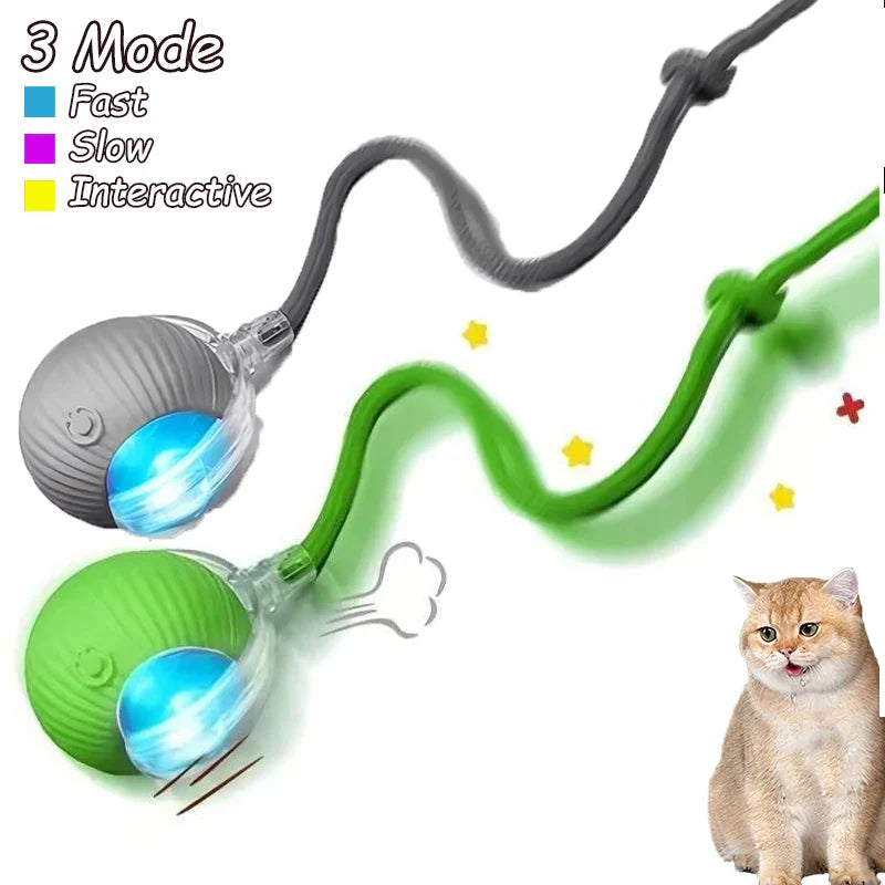 Smart Cat Toy Ball: 2pk Rechargeable Self-Moving Prey