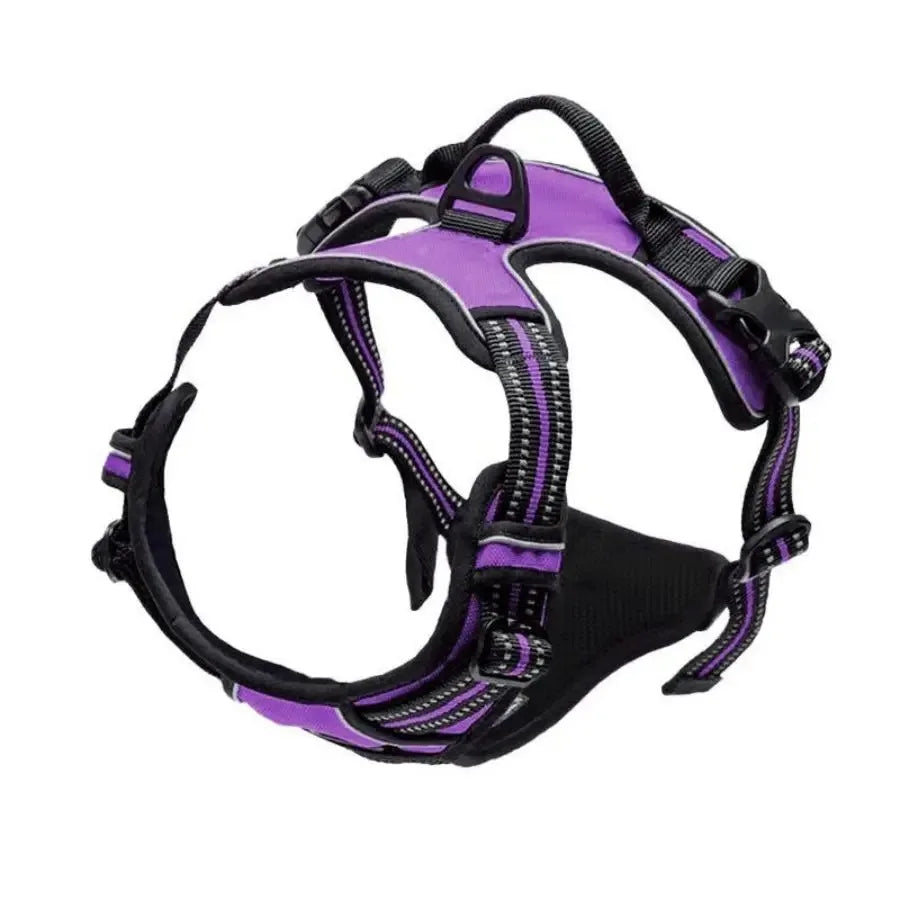Dog Harness: Padded for Comfort with Adjustable Straps