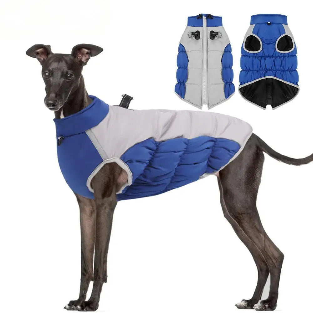 Dog Winter Jacket: Wind-Resistant Outer Shell for Big Dogs