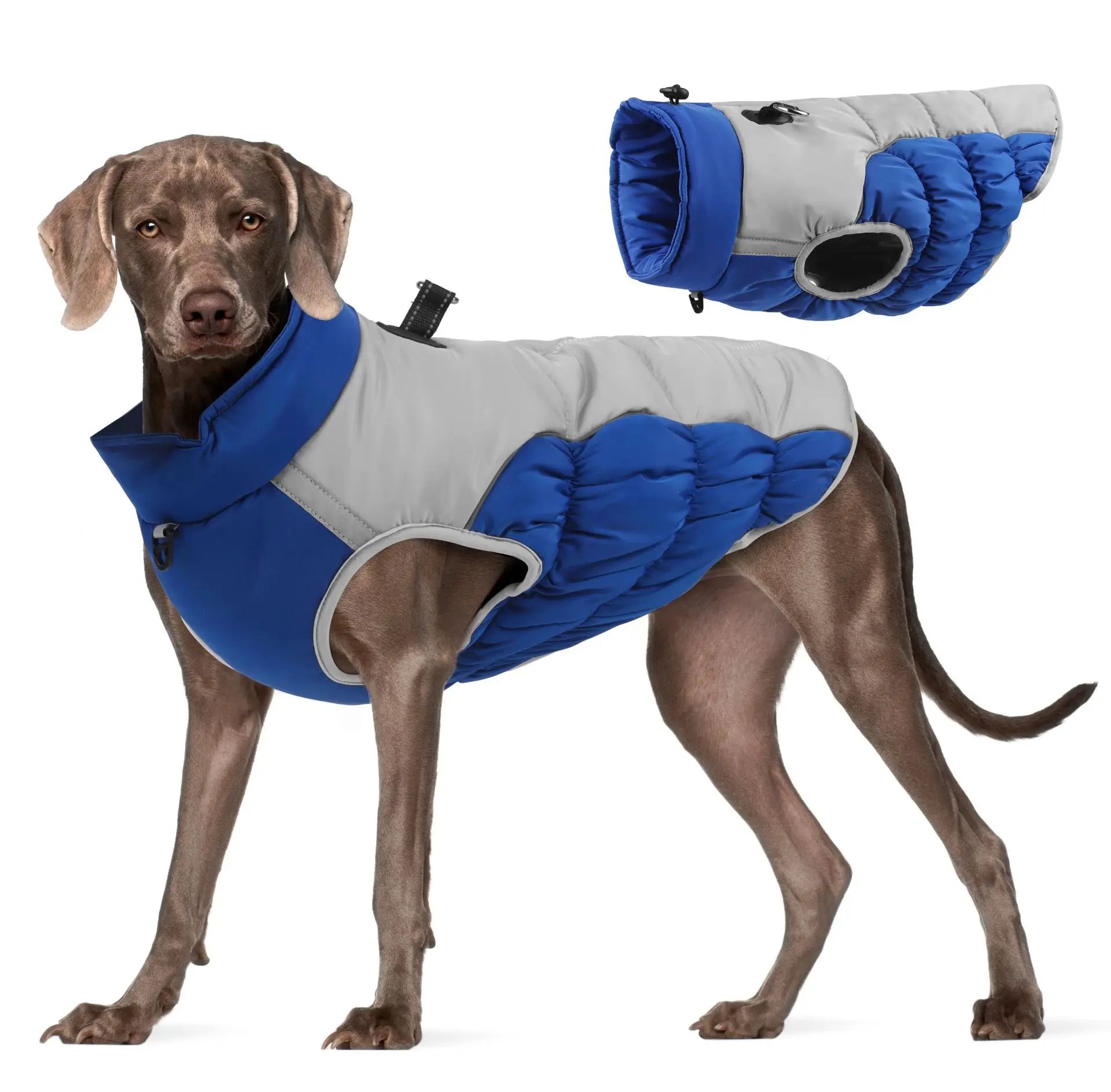 Dog Winter Jacket: Wind-Resistant Outer Shell for Big Dogs