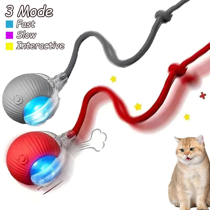 Smart Cat Toy Ball: 2pk Rechargeable Self-Moving Prey