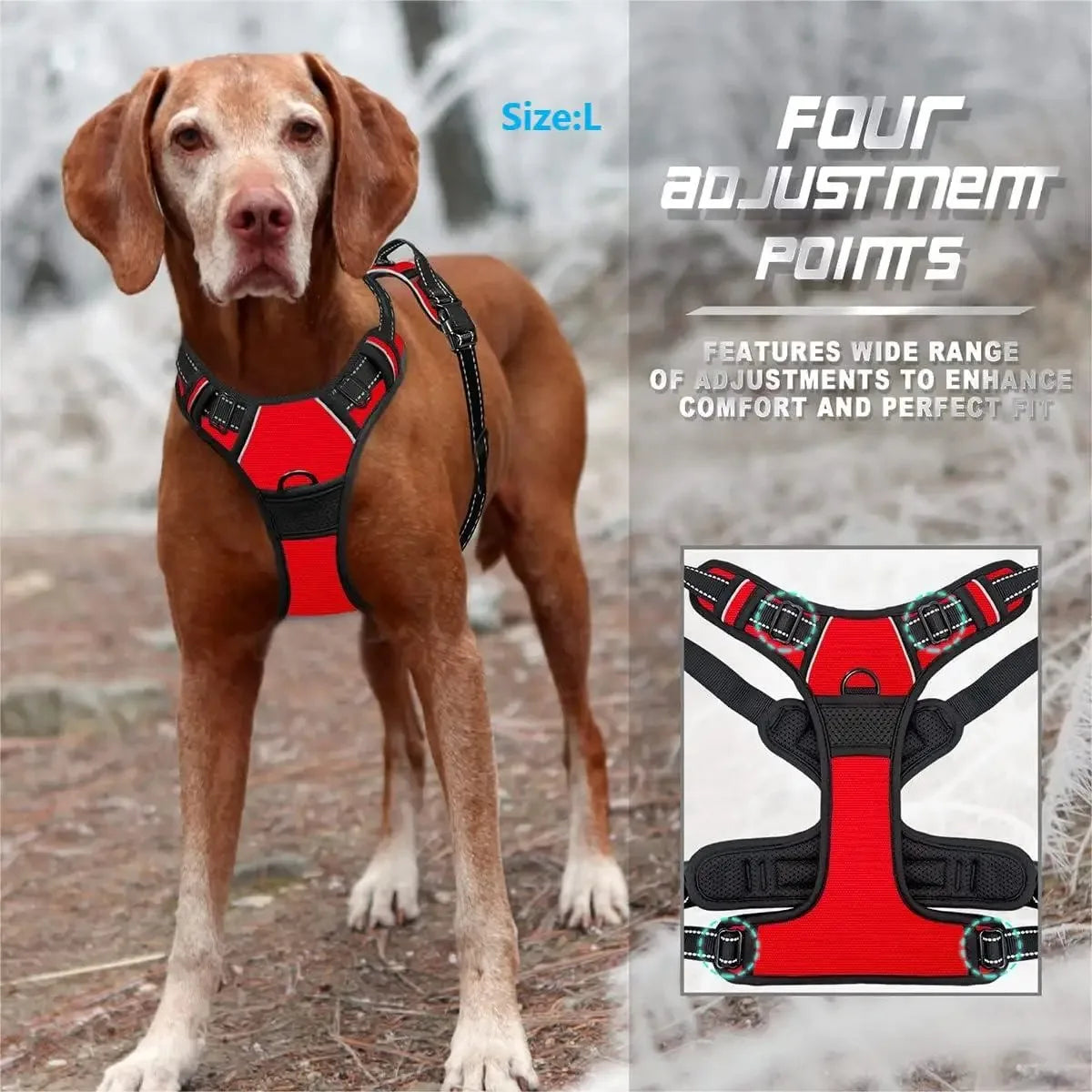 Dog Harness: Padded for Comfort with Adjustable Straps