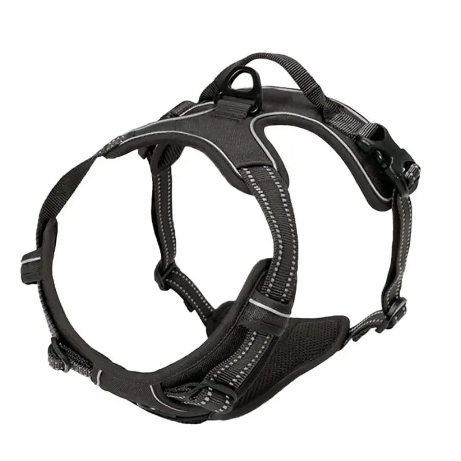 Dog Harness: Padded for Comfort with Adjustable Straps